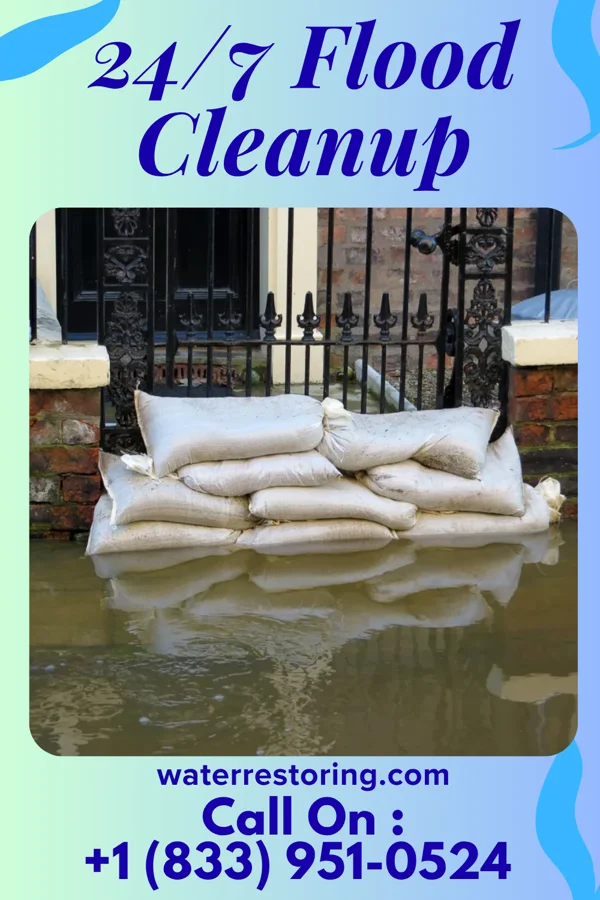 24/7 Flood Cleanup in Windmill, NM