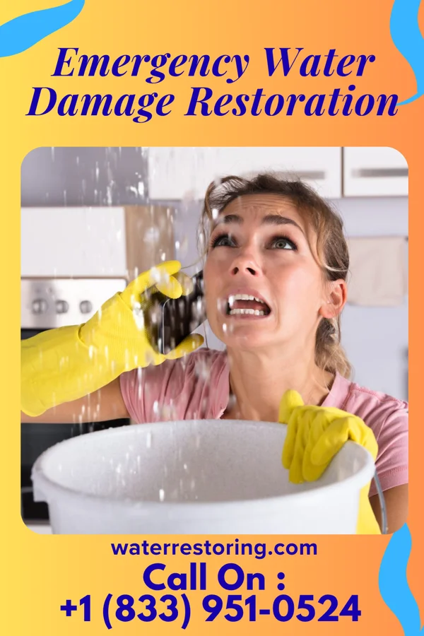 Emergency Water Damage Restoration in Windmill, NM