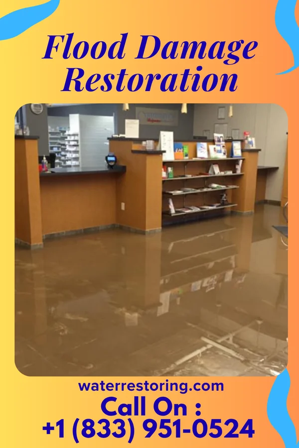 Flood Damage Restoration in Windmill, NM