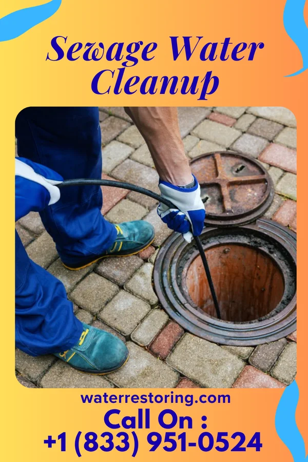 Sewage Water Cleanup in Windmill, NM