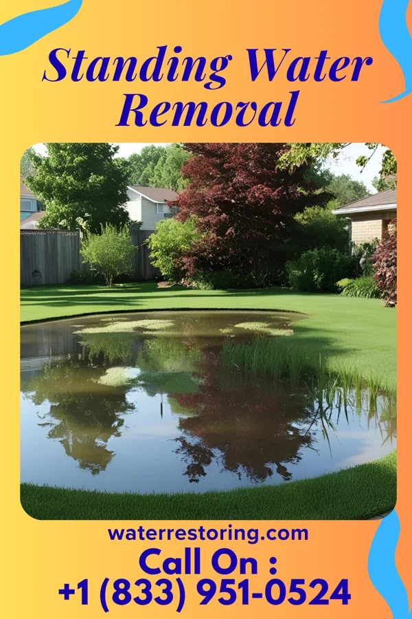 Standing Water Removal in Windmill, NM